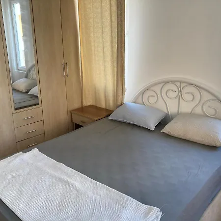 In The Perfect Location In The Will Guarantee A Wonderful * シダ