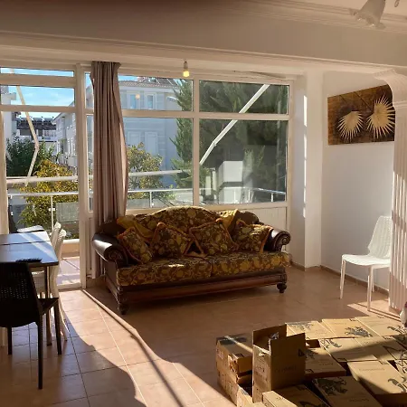In The Perfect Location In The Will Guarantee A Wonderful * シダ